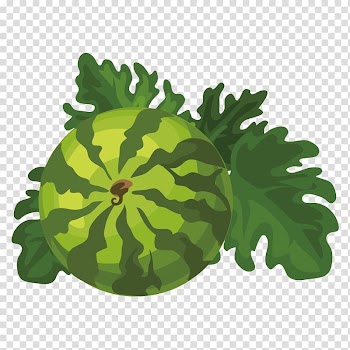 Cucurbita Watermelon Citrullus lanatus Fruit, watermelon transparent background PNG clipart