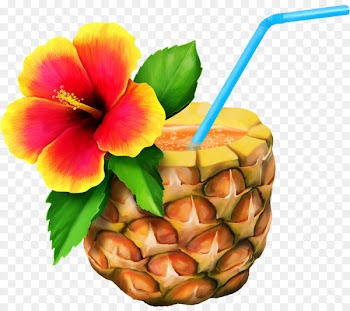 Cuisine of Hawaii Hawaiian Clip art - tropical 