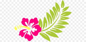 Cuisine of Hawaii Luau Clip art - Beach Flower Cliparts 
