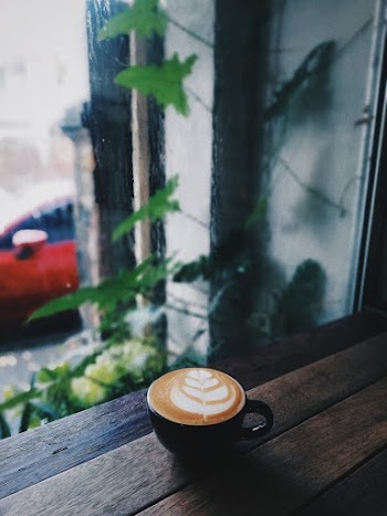 Cup Of Coffee