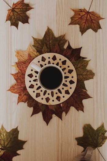 Cup Of Coffee