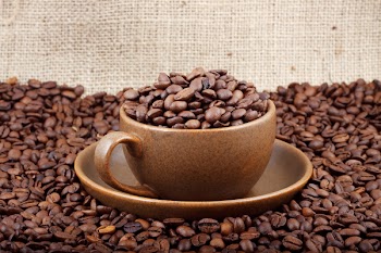 Cup of coffee. Shot in a studio