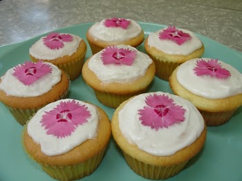 cupcakes_closeup2.JPG