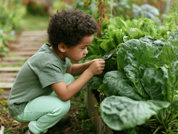 Curious Child Inspecting Garden Leaves with Magnifying Glass