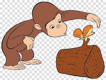 Curious George Curiosity Cartoon , Birthday Curious transparent background PNG clipart