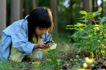 Curious Girl Exploring Nature with a Magnifying Glass
