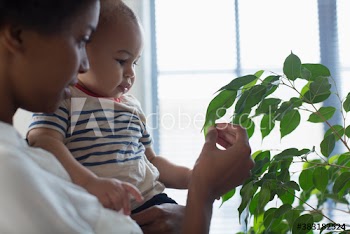Curious mother and baby son looking at houseplant