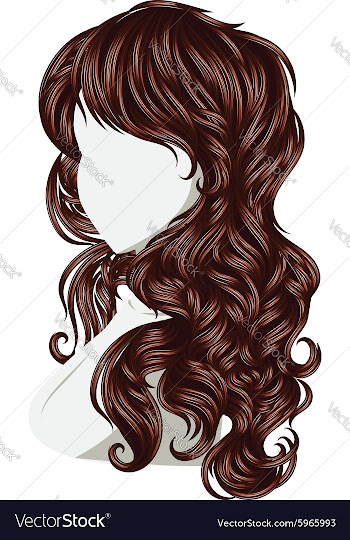 Curly Hair Style vector image