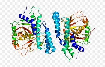 Current Medical Therapies For Parkinson's Disease Which - Parp 1