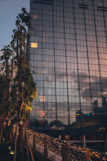 Curtain Glass Wall Building
