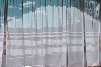 Curtain on Wall Reflecting Trees