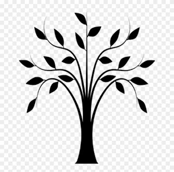 Curtains - Line Drawing Of Tree