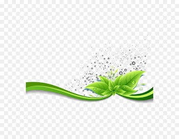 Curve Euclidean vector Arc - Vector curved green leaves 
