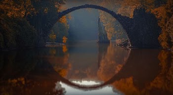 curved bridge in the middle of foreset