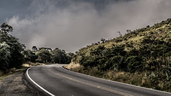 Curved Concrete Road Beside Grass