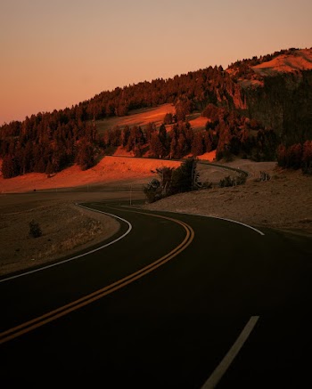 Curved Road