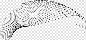 Curves line Black, black string illustration transparent background PNG clipart