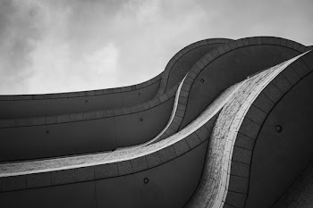 Curves Of Modern Architechture Black And White