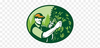Custom Pruning - Clip Art Tree Prunning