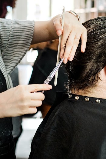 Customer getting a haircut in a beauty salon | Free stock photo | High Resolution image