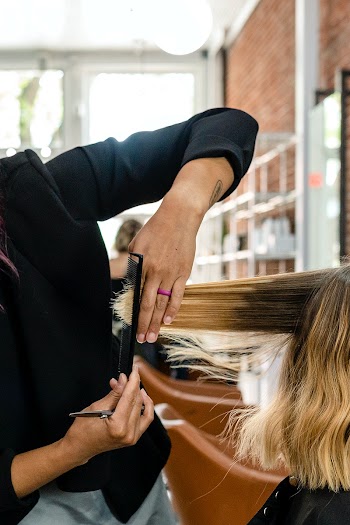 Customer getting a haircut in a beauty salon | Free stock photo | High Resolution image