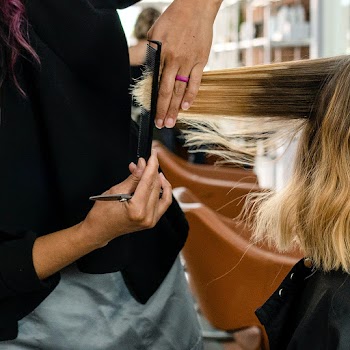 Customer getting a haircut in a beauty salon | Free stock photo | High Resolution image