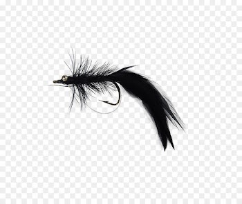 Customer Service Fly fishing Holly Flies Brand ambassador - others 