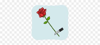 Cut 2-5cm Off The Stems - Hybrid Tea Rose