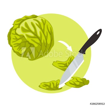 Cut cabbage using knife