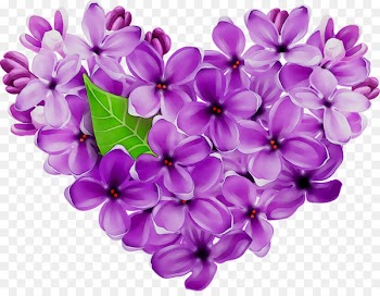 Cut flowers -  