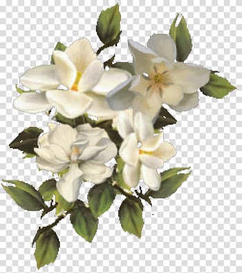 Cut flowers Autumn, Hn transparent background PNG clipart