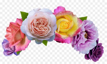Cut flowers Crown Search Emoji Garden roses - flower crown 