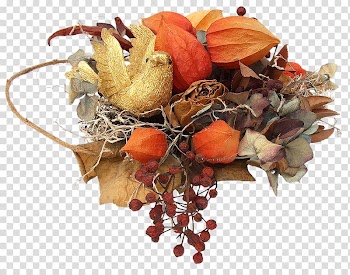 Cut flowers .de, flower transparent background PNG clipart