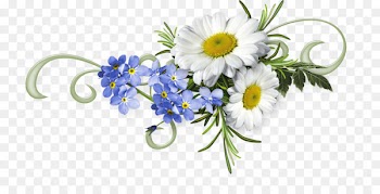 Cut flowers Floral design Digital scrapbooking Flower bouquet - flower 