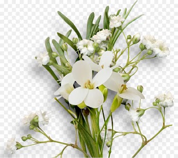 Cut flowers Floral design Floristry Flower bouquet - ear of rice 