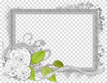 Cut flowers Floral design Floristry Rose, silver frame transparent background PNG clipart