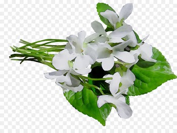 Cut flowers Floral design Flower bouquet -  