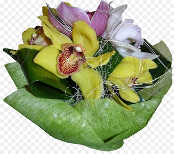 Cut flowers Floral design Flower bouquet Floristry - orchids 