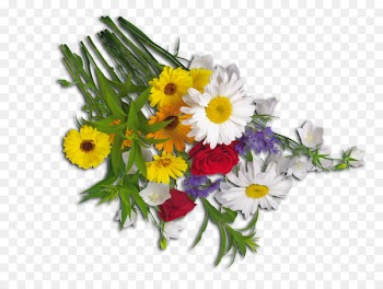 Cut flowers Floral design Flower bouquet Roman chamomile - poney frame 
