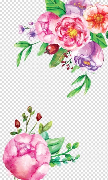 Cut flowers Floral design Garden roses, watercolor flower transparent background PNG clipart