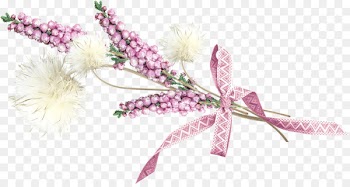 Cut flowers Floral design Plant stem - Primera comunion 