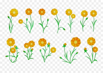Cut flowers Floral design Pot marigold Tulip Plant stem -  