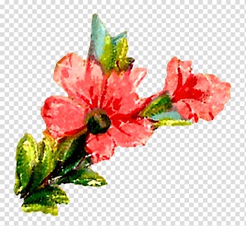 Cut flowers Floral design Watercolor painting , watercolor flower transparent background PNG clipart