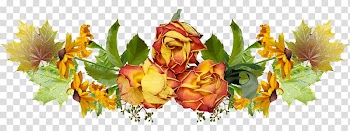 Cut flowers Floristry Floral design Petal, autumn transparent background PNG clipart