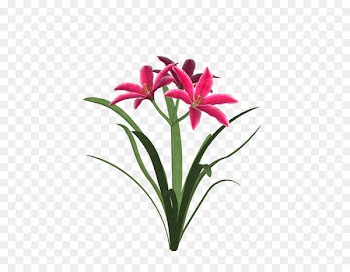 Cut flowers Floristry Petal Amaryllis - flower 