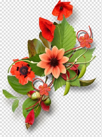 Cut flowers Flower bouquet , burgundy flowers transparent background PNG clipart
