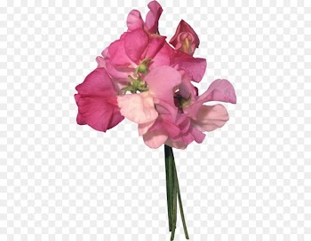 Cut flowers Flower bouquet Floral design Nosegay - flower 