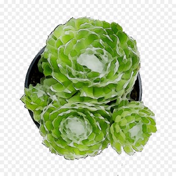 Cut flowers Flower bouquet Flowerpot Artificial flower -  