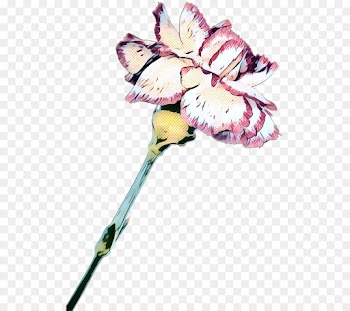 Cut Flowers, Flower, Floral Design, Plant PNG