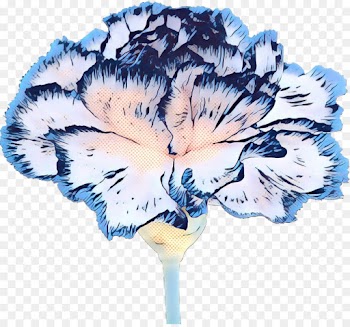 Cut Flowers, Flowering Plant, Petal, Blue, Flower PNG